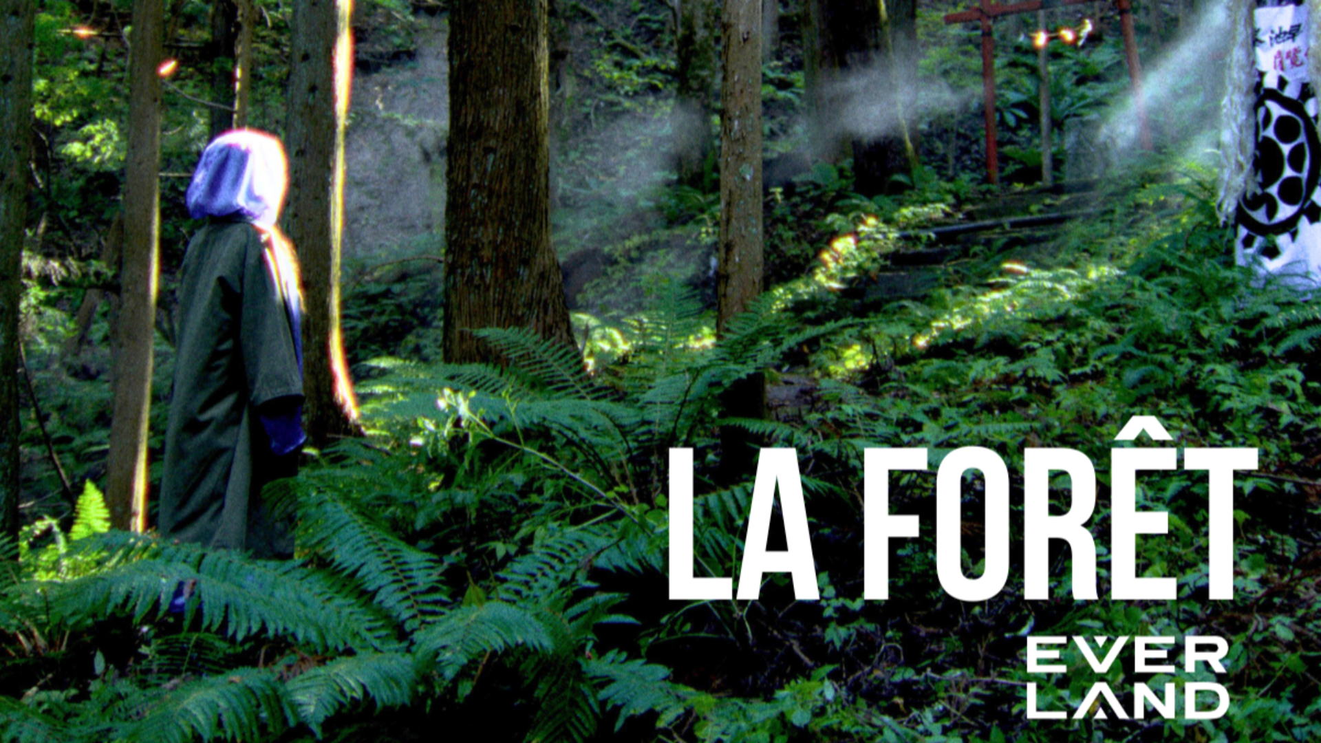 This French-Japanese Singer Combines Music and Activism to Protect the World's Forests from Deforestation